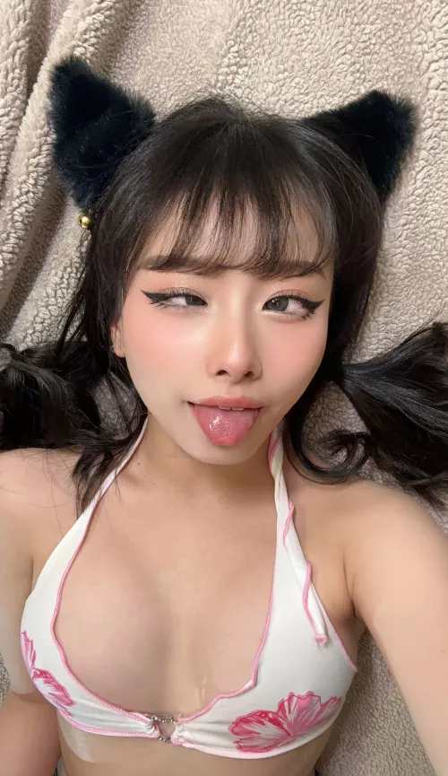 Something’s purring for you😽