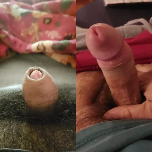 Don't judge a book by its cover