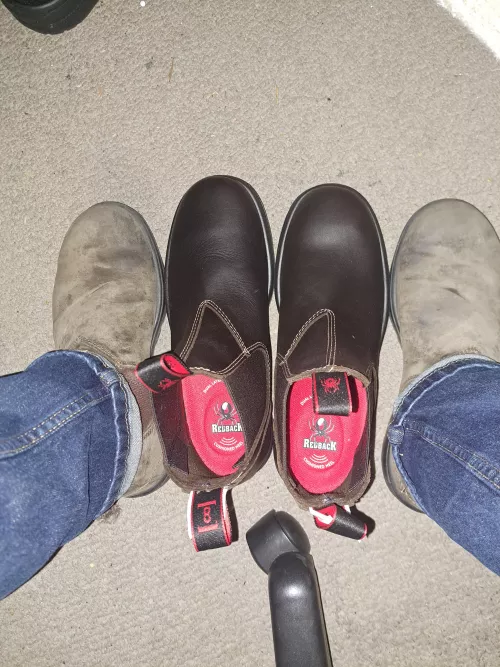 Got some redbacks, have some questions.