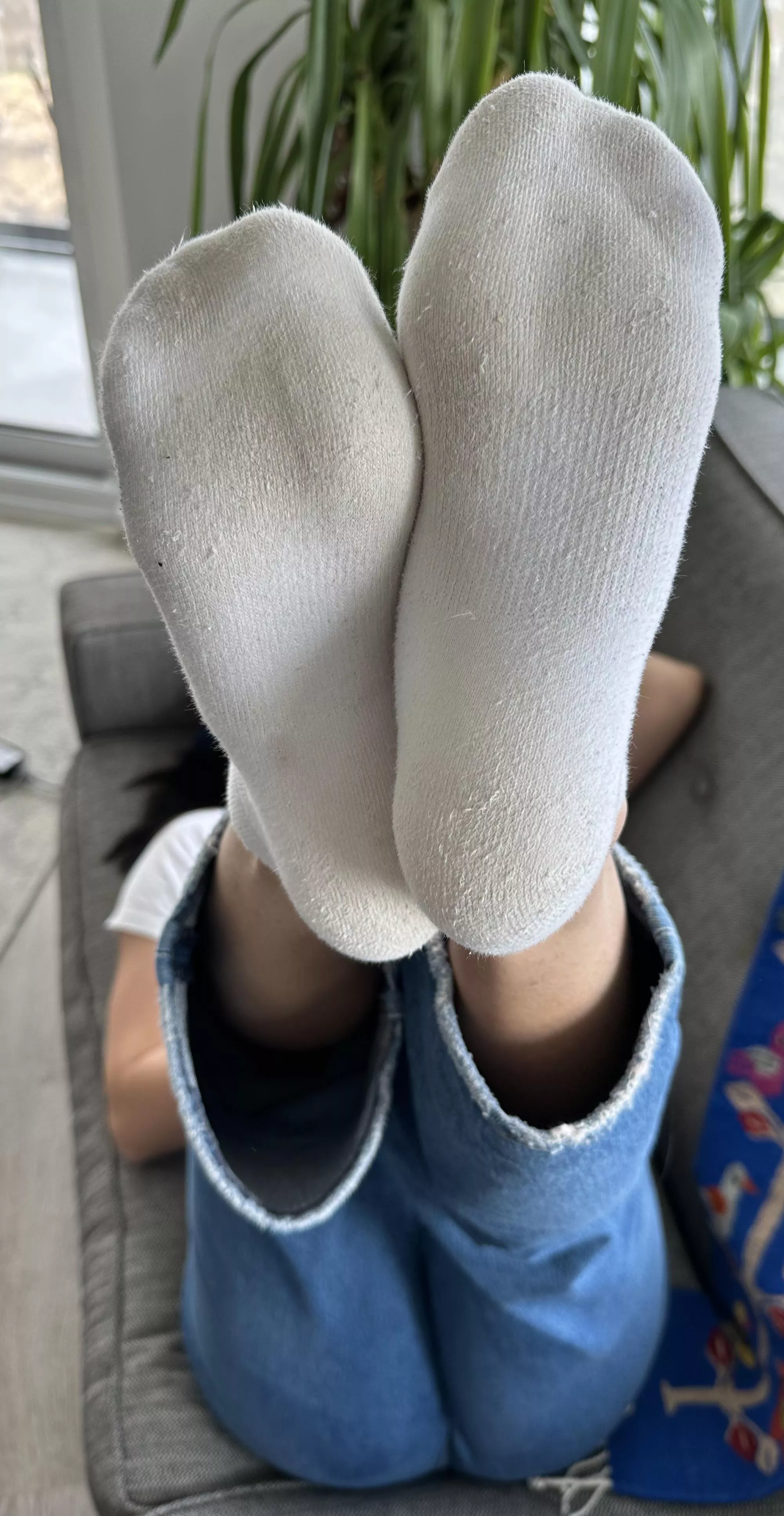 Grab my ankles and have your way with me 😈