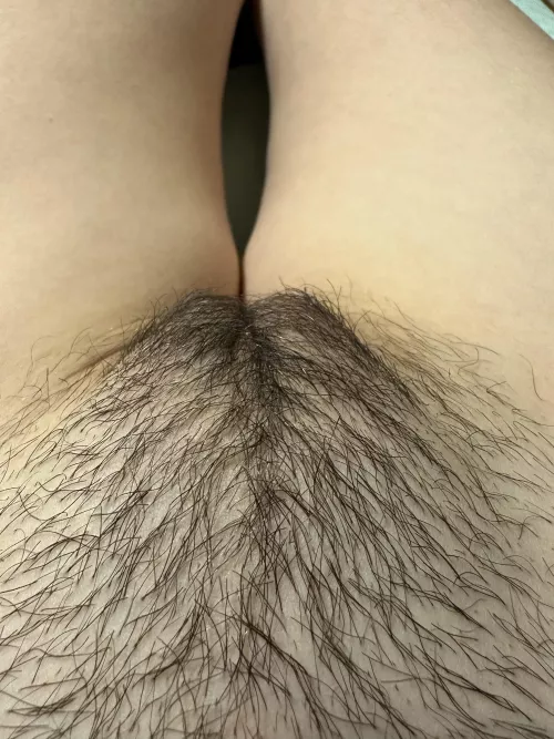 Hope you are into young girl with hairy pussy