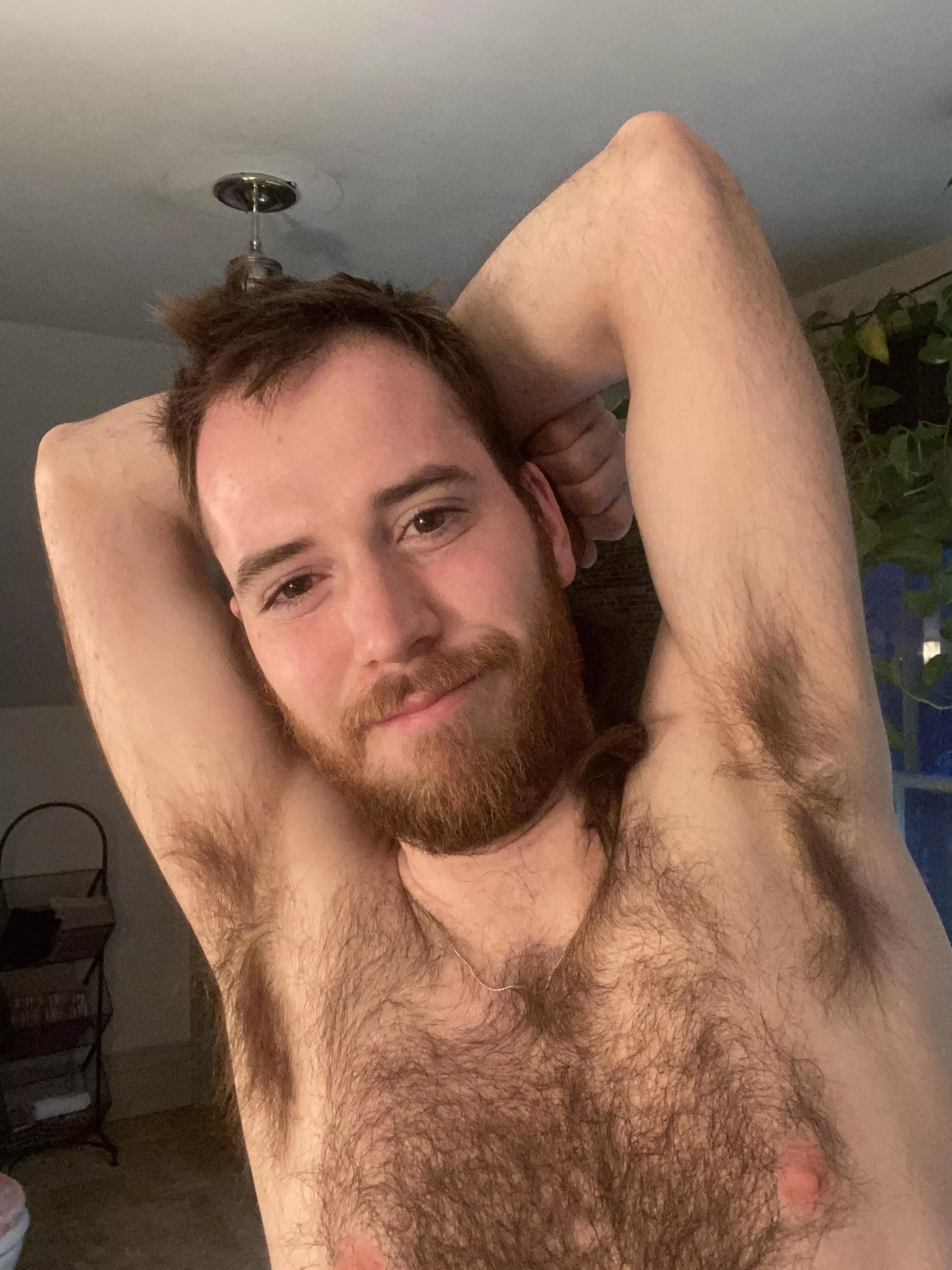 In need of a morning cuddle