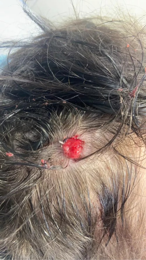 Just looking to see if any of you can help identify what the hell is going on