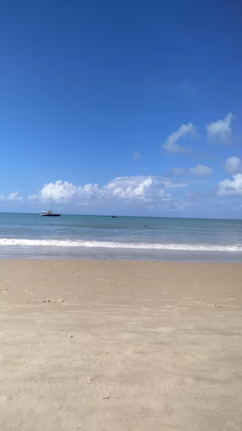 Lets go tropical Love's!