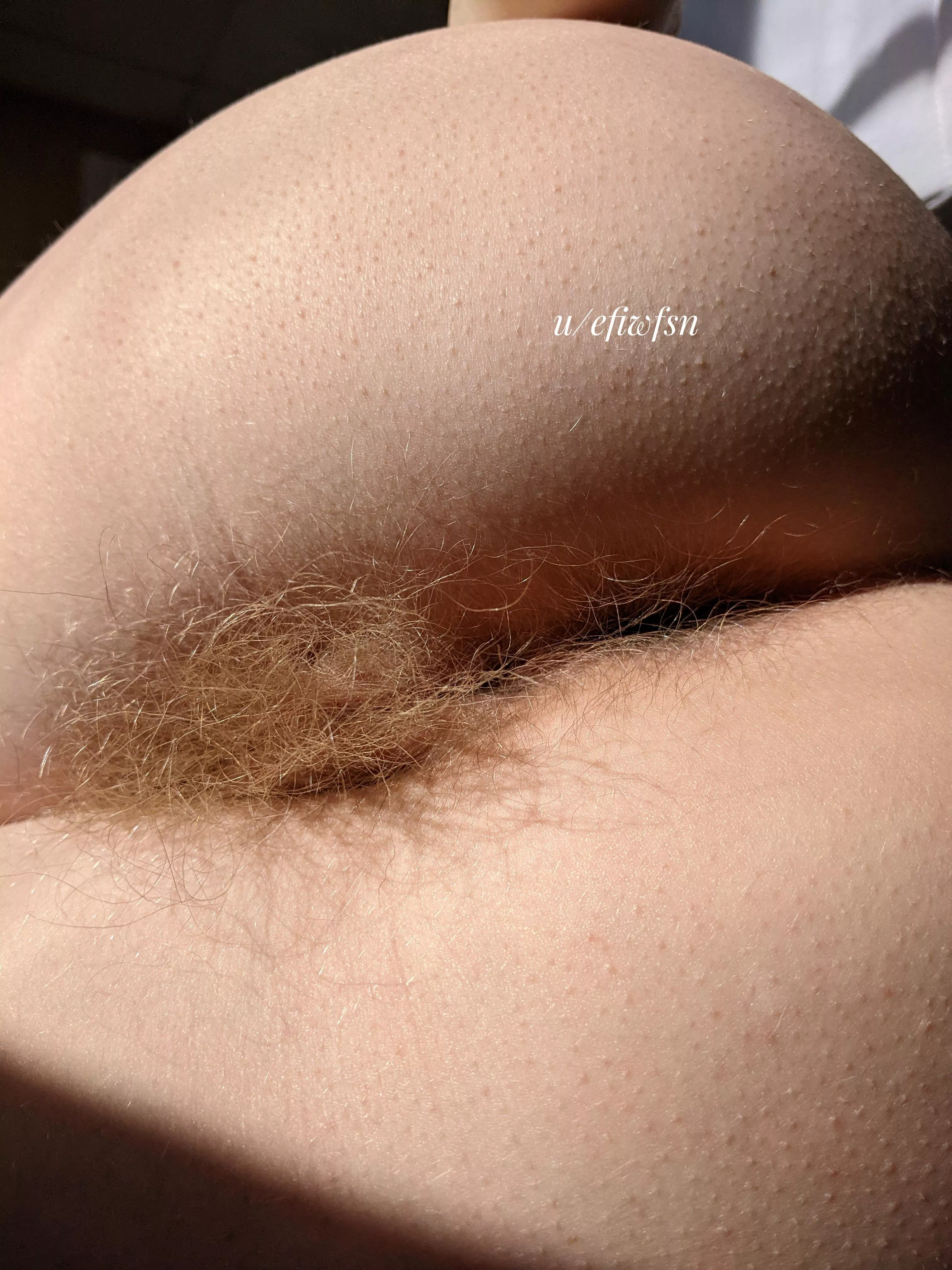 People ask me if my ass is hairy too. I say, see for yourself: