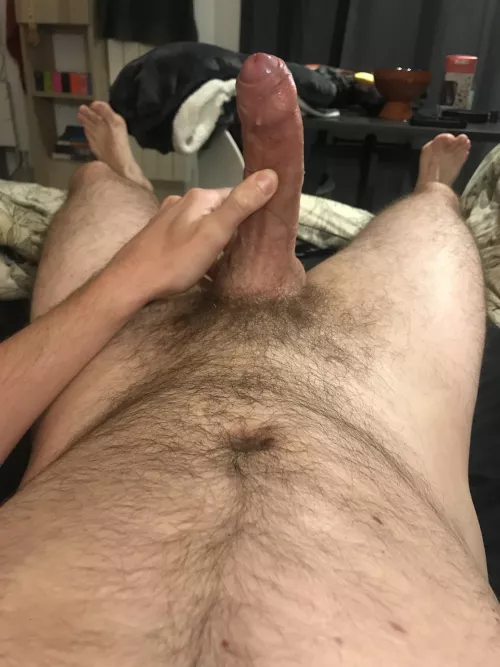 Some news live from my bed