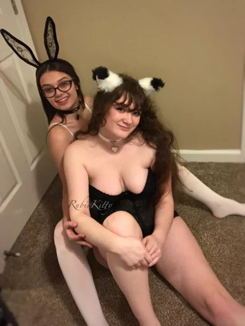 We can be your perfect pets😜