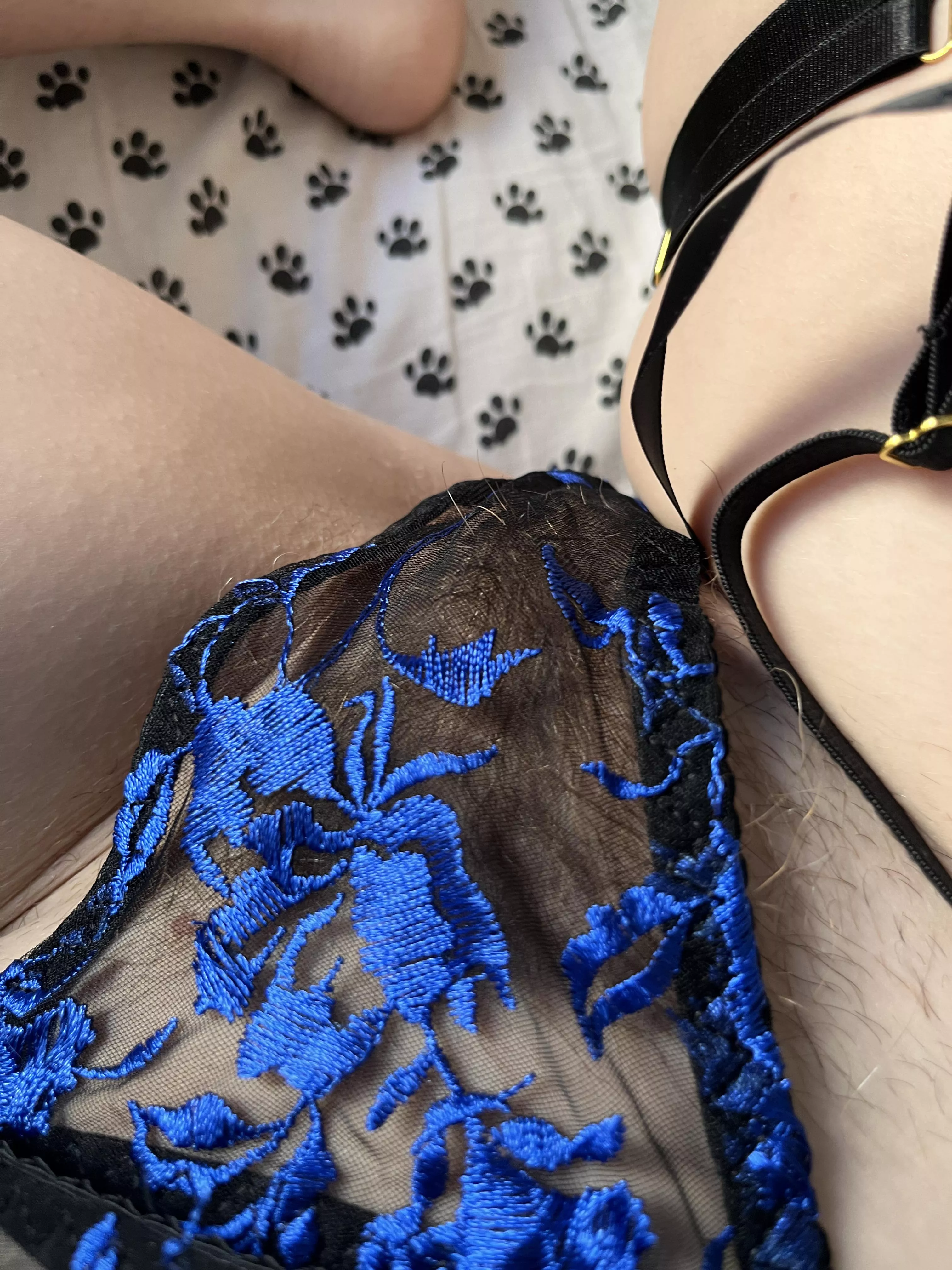 Will you get under my panties?