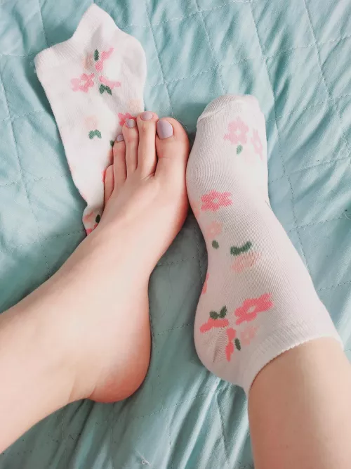 Yet another cute sock pair from my collection (OC)