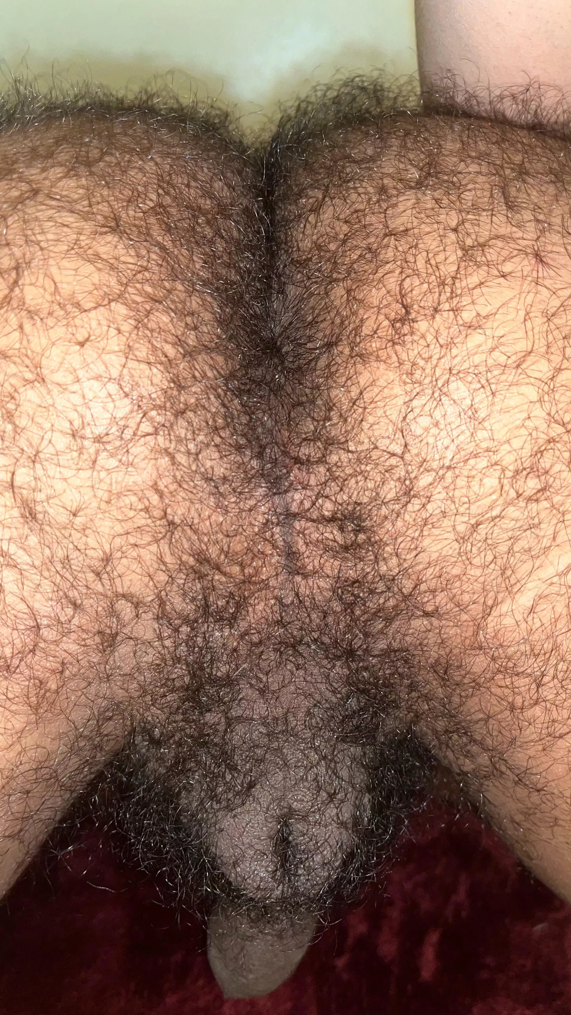Your dose of hairy ass