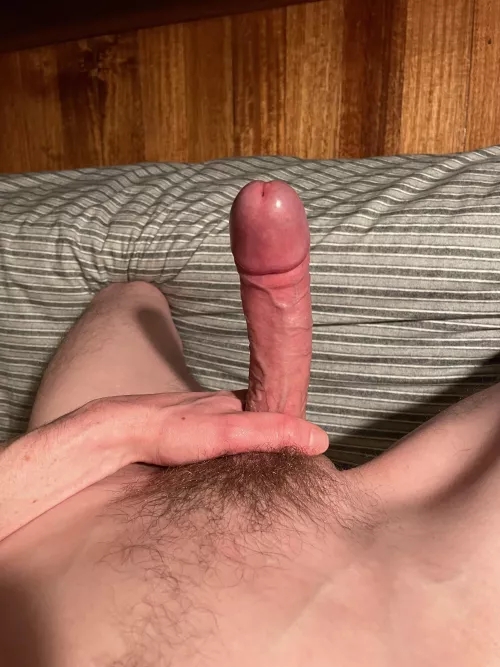 Admiring my pretty penis