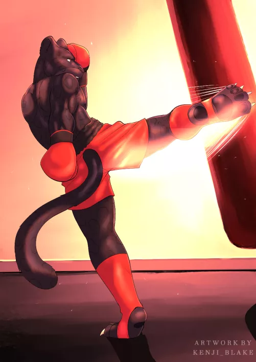 [Commission] Kick Boxing