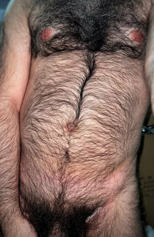 Get lost in this jungle of masculinity, boy!