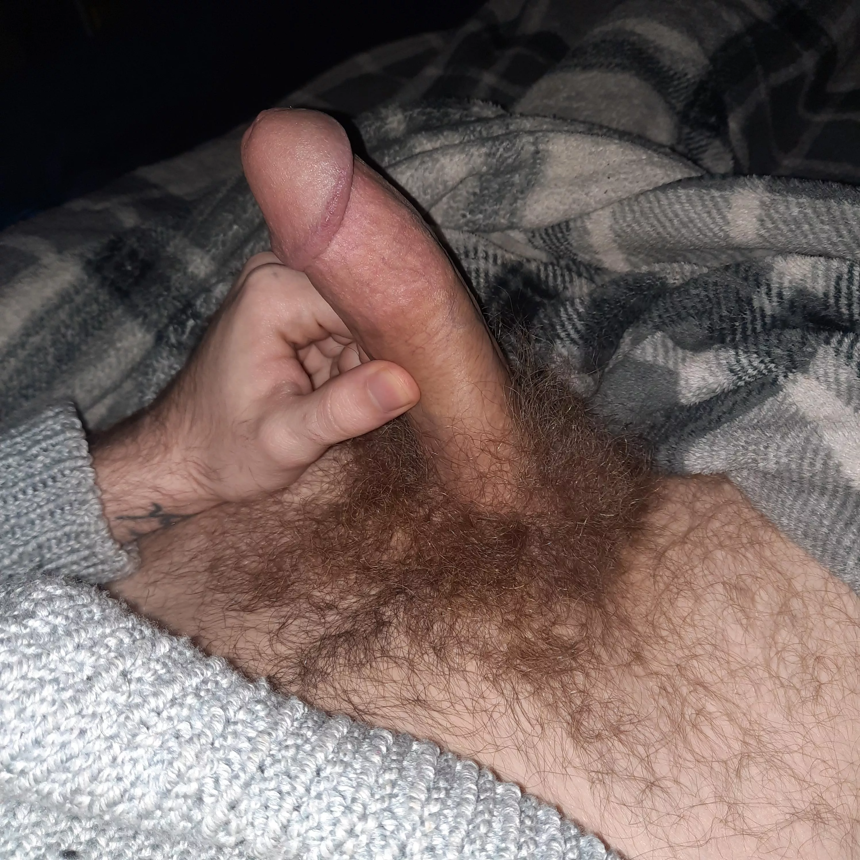 Got a dm saying my pubes were gross. I disagree