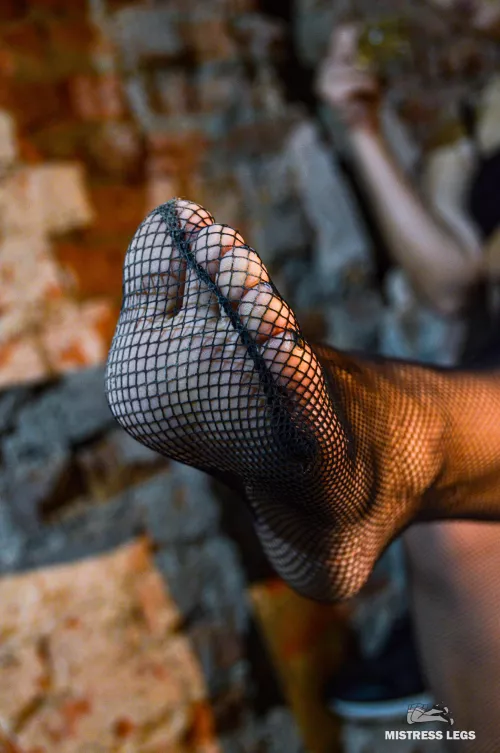 I have beautiful toes that need daily worship, so just shut up and lick!