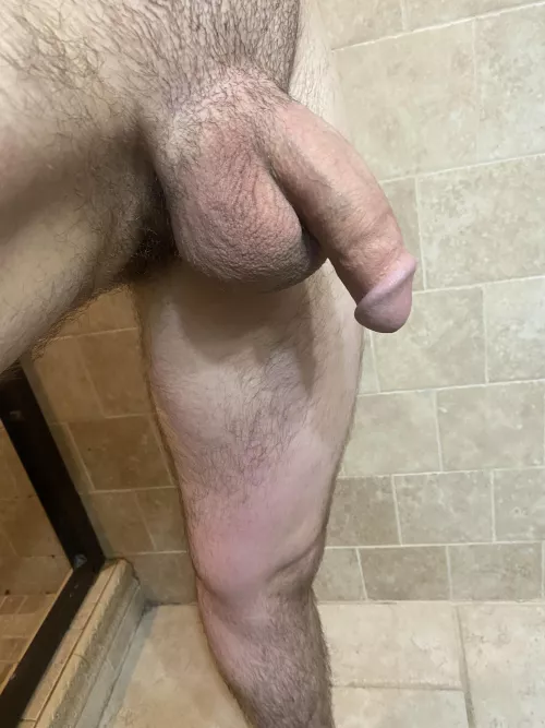 I think I got a nice looking cock, anyone agree?