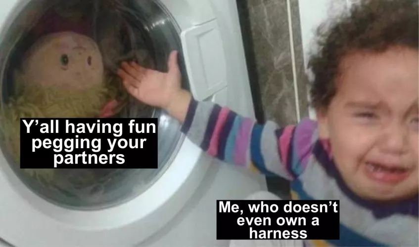 I WANT A HARNESS >:(