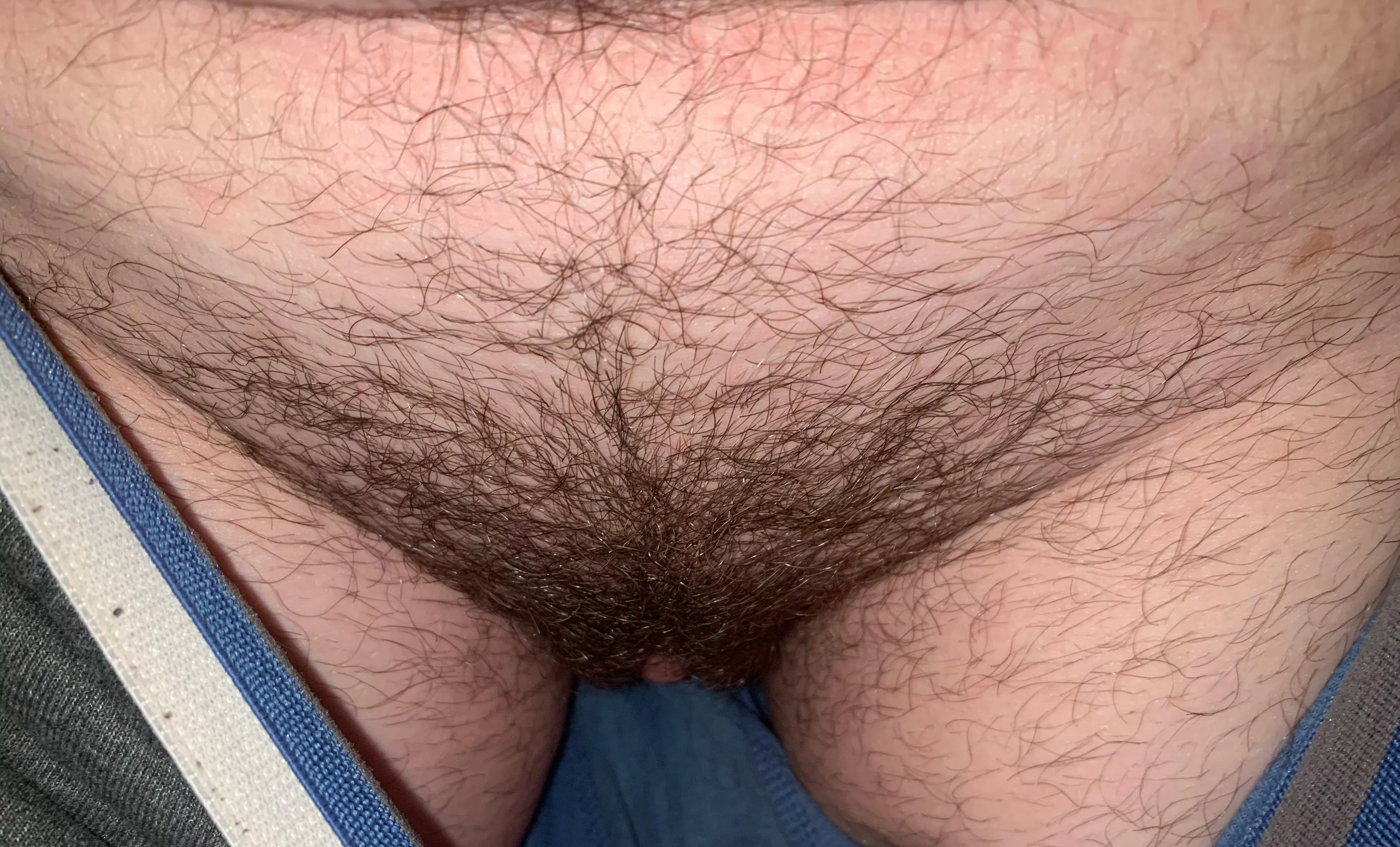 In the midst of growing my bush back