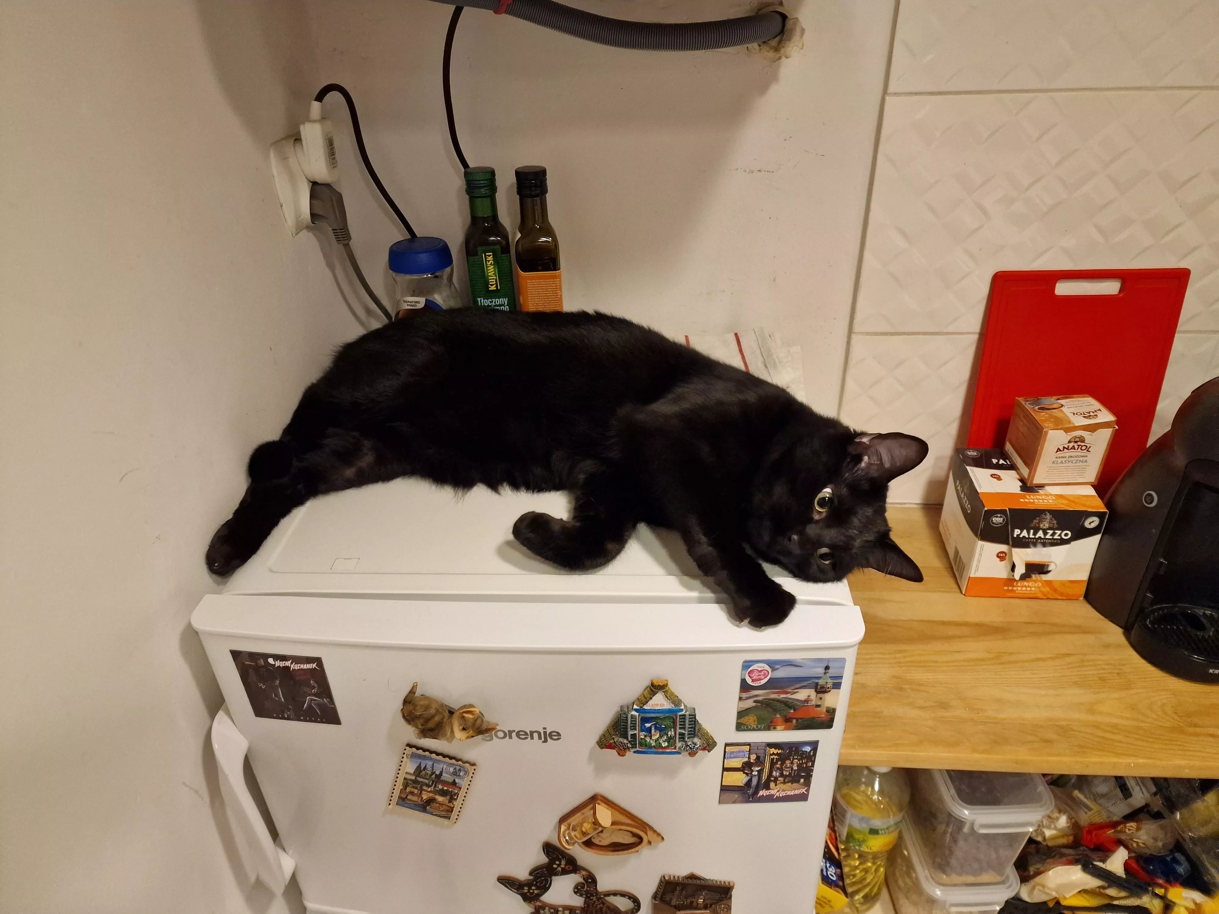 Wanna join me in a bath?