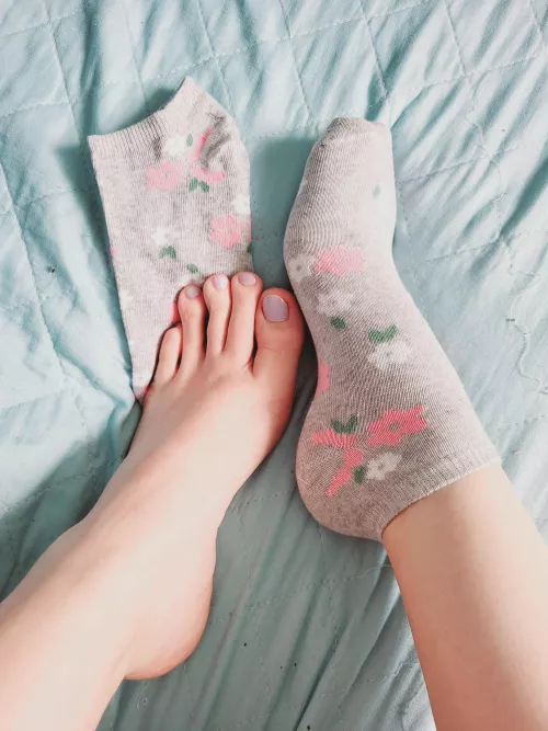 Wanna play with my cute socks? (OC)