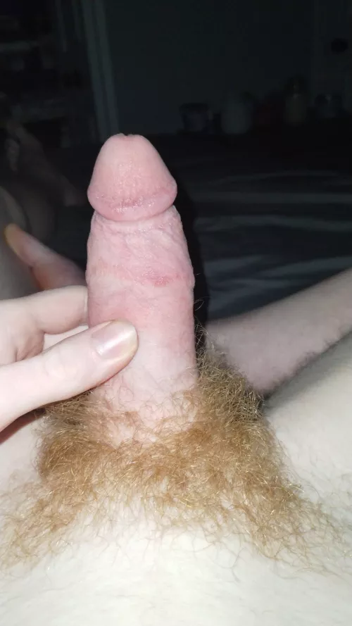 Who likes this ginger semi?