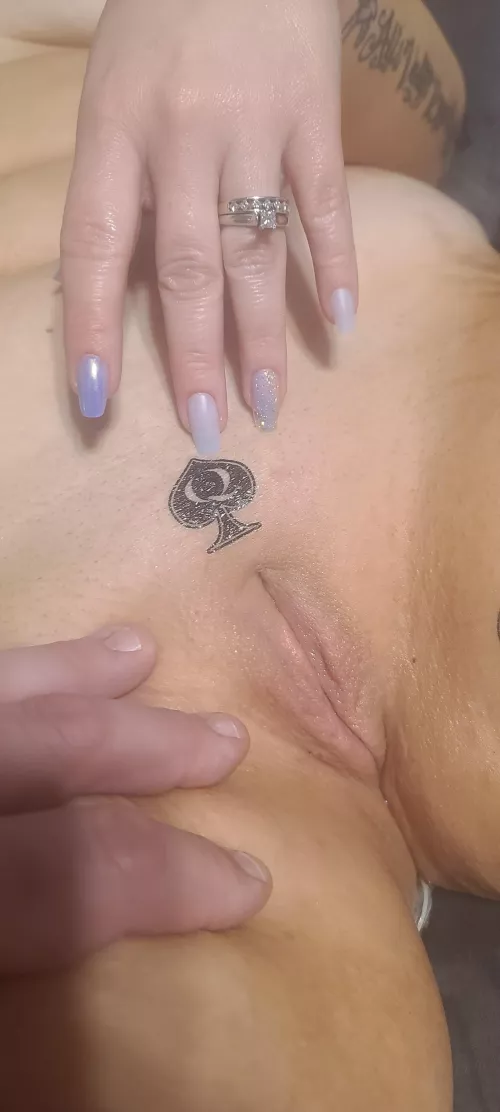 Wife was gone for a long weekend came back to me with this.