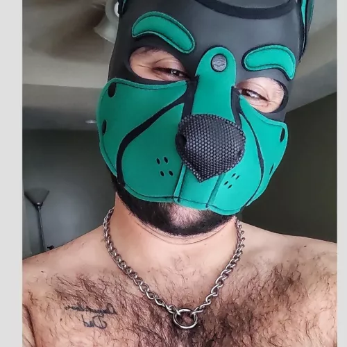Woof