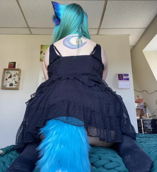[f] do you like my tail?