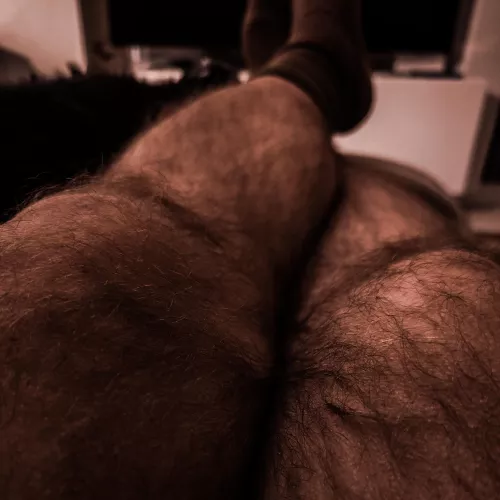 Furry knees
