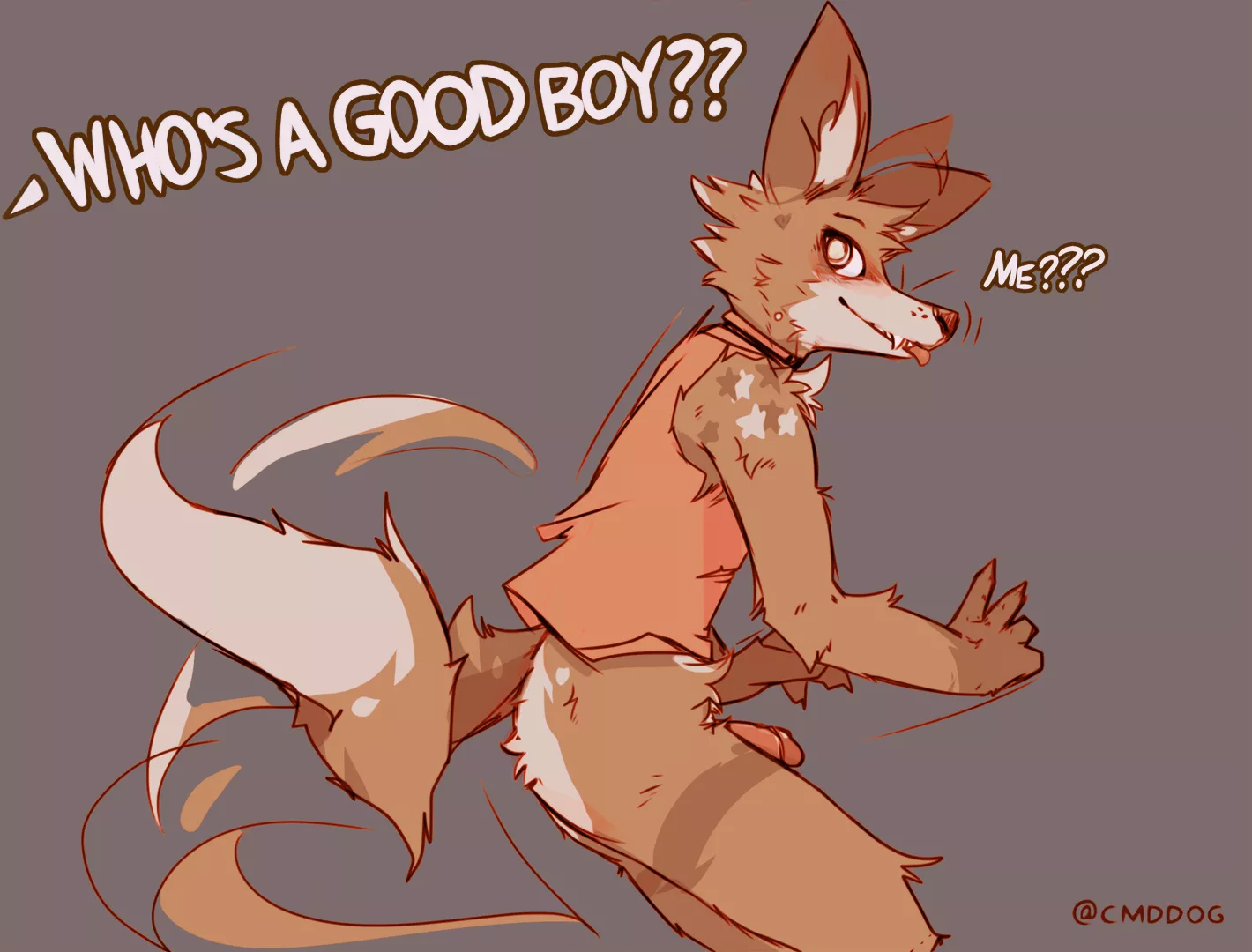 Good Boy?? (Vimes)