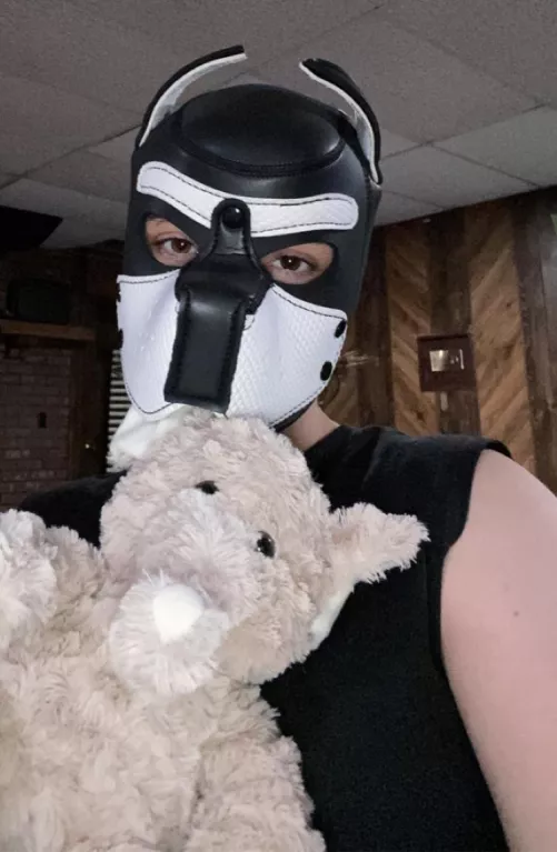 Got my toy , that’s all I want 🐶