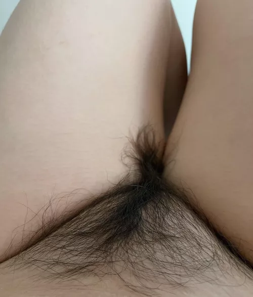 Hairy pussy is the key to your excitement