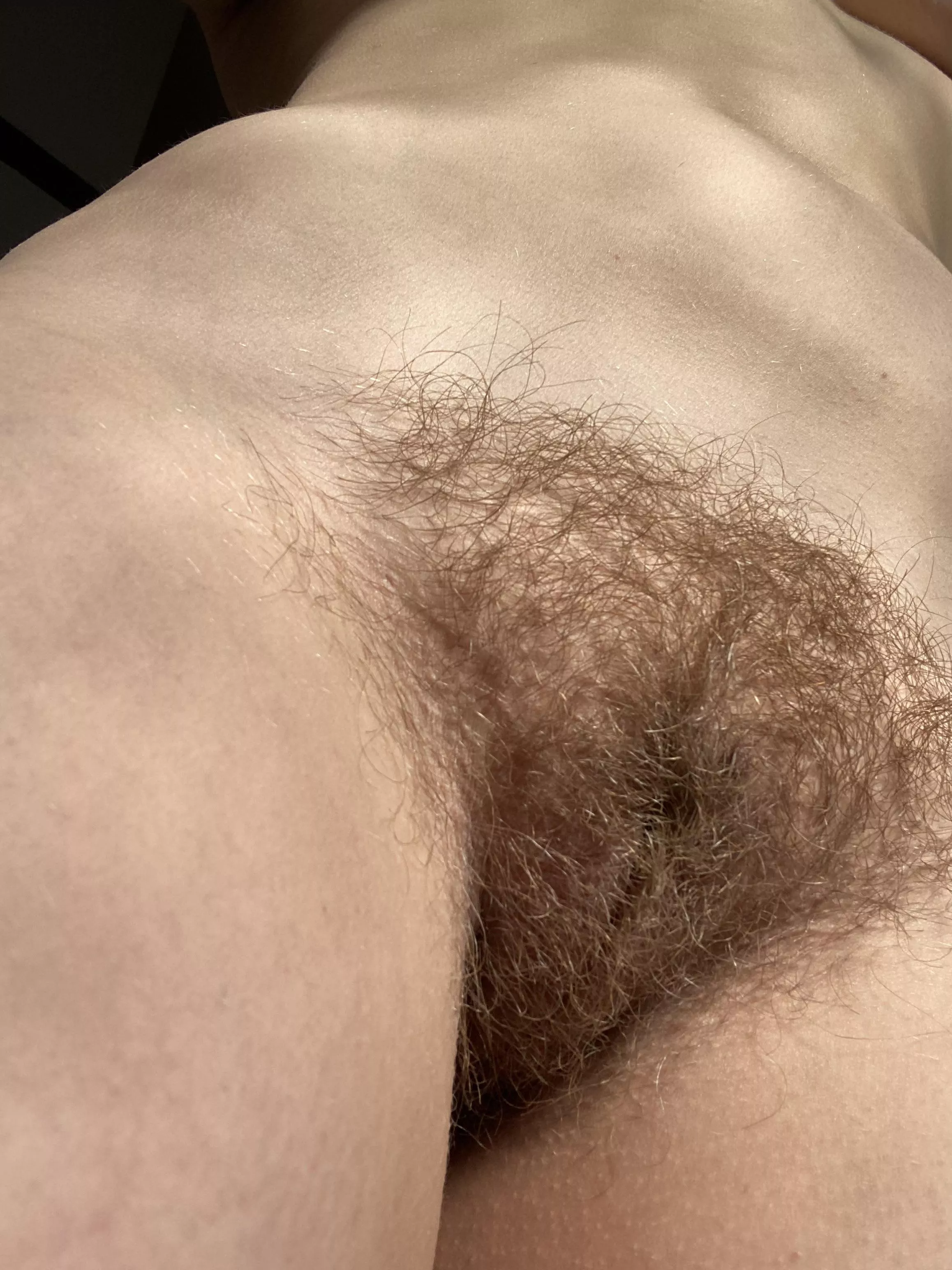I’m getting so hairy - would you still go down on me?
