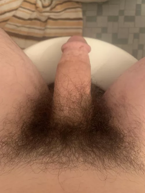 what do you think of my bush