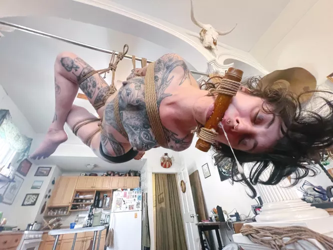 Bamboo gag and suspended