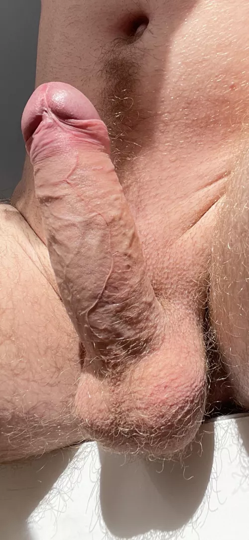 Before I shaved them