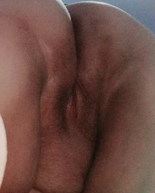 Can you please breed my coochie papi? [OC]