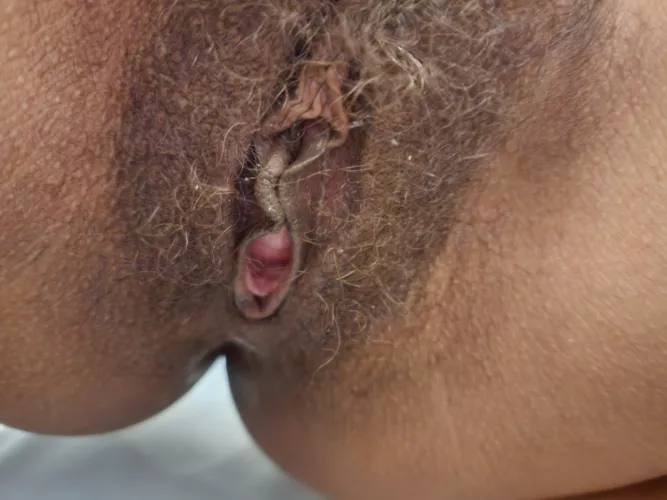 Come get some hairy pussy in your mouth.