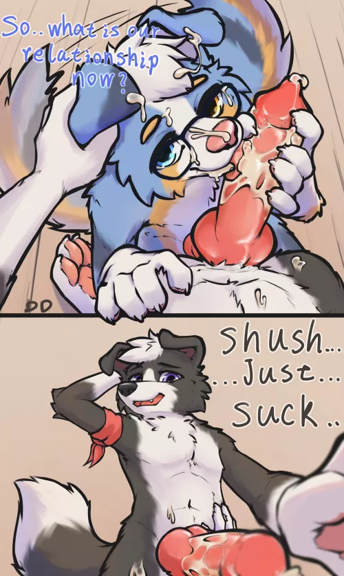 Dodging the Question (ddgio)