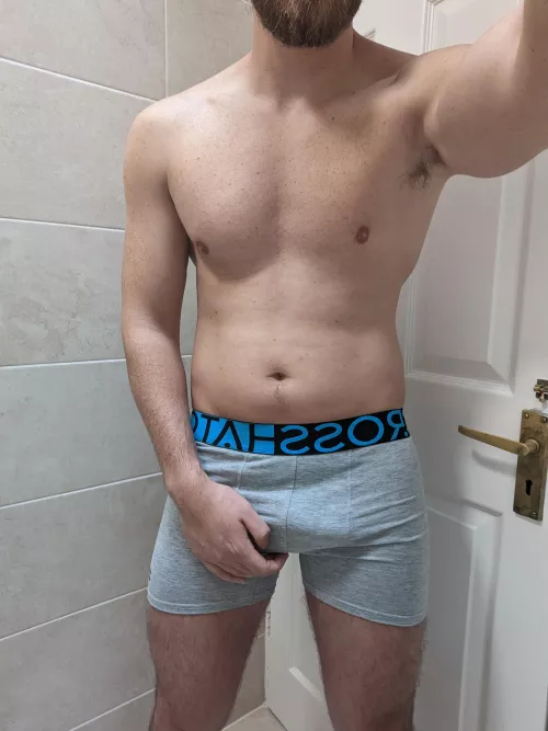 Grey ones, always a winner