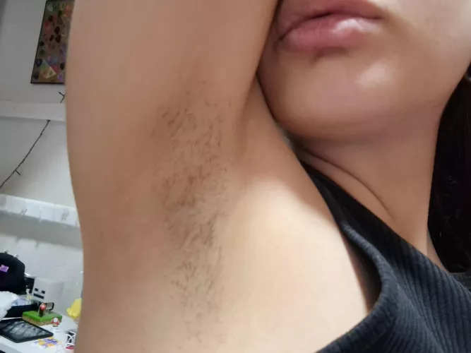 I make them grow again