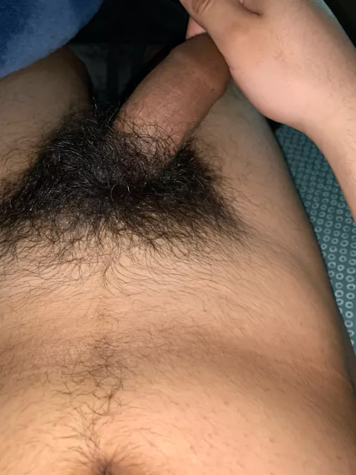 Pubes hairy af, what do you guys think ?