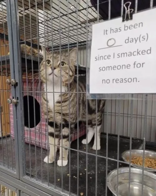 Reminds me of when I was put in a cage at a fetish club