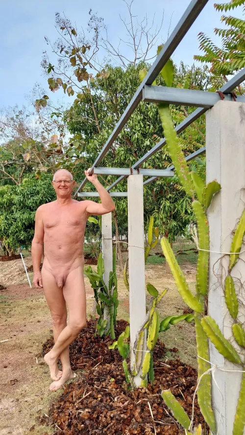 Saturday in my garden