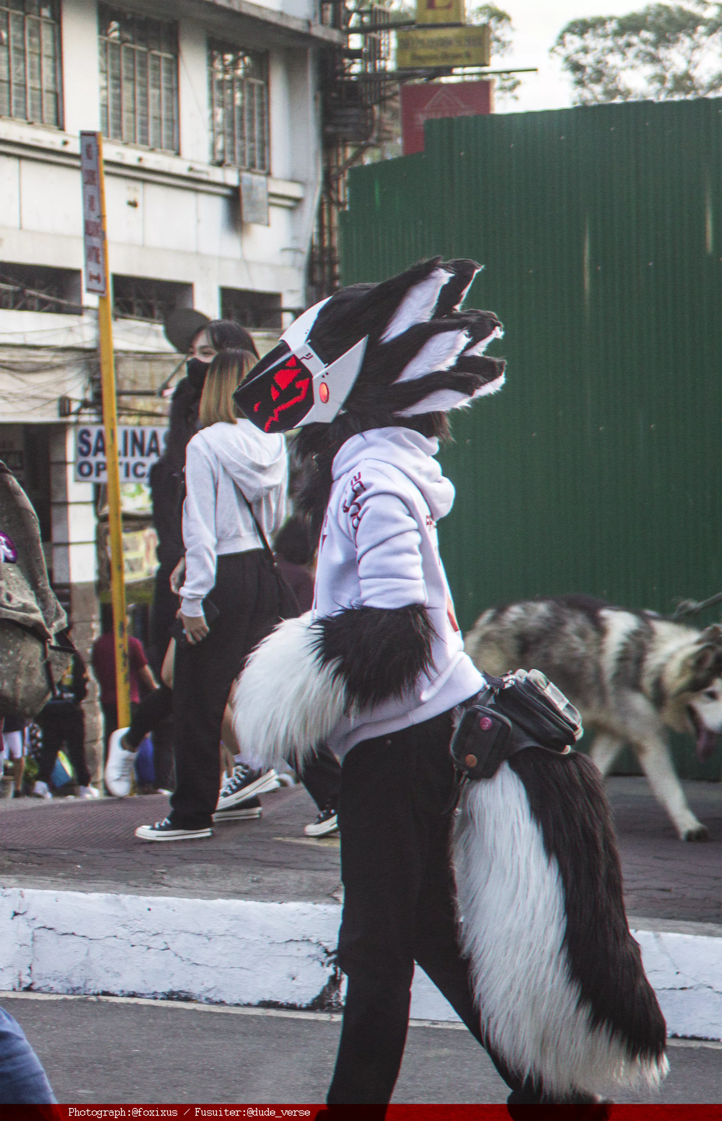 Sunny around town! ( photograph by @FoxixusArt - twitter / Suiter @dude_verse - Twitter)