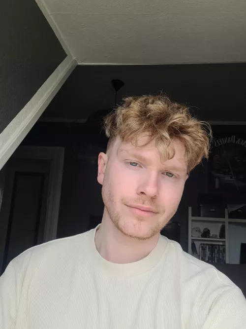 This ginger boi is all ready to conquer the day!