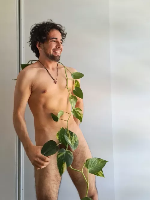 A beautiful plant is like having a friend around the house