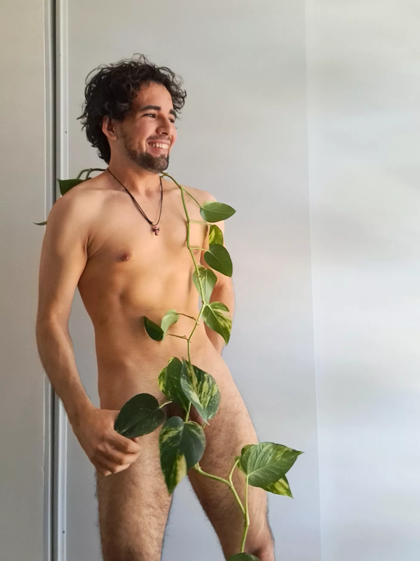 A beautiful plant is like having a friend around the house