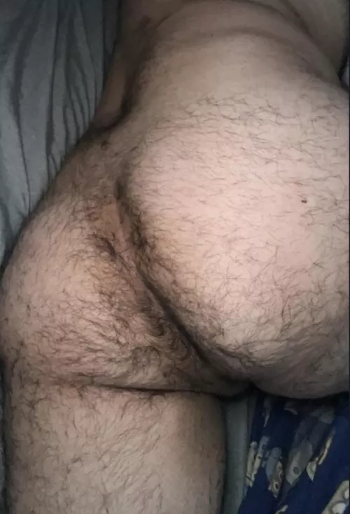 Any guys into hairy ass?