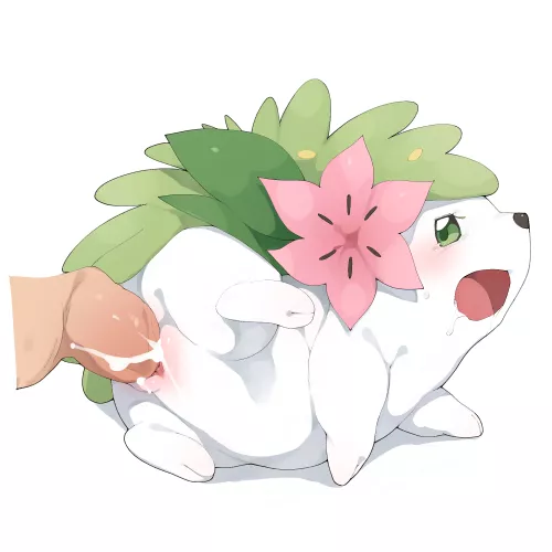 April 13 is Shaymin Day [F] (Youjoumodoki)